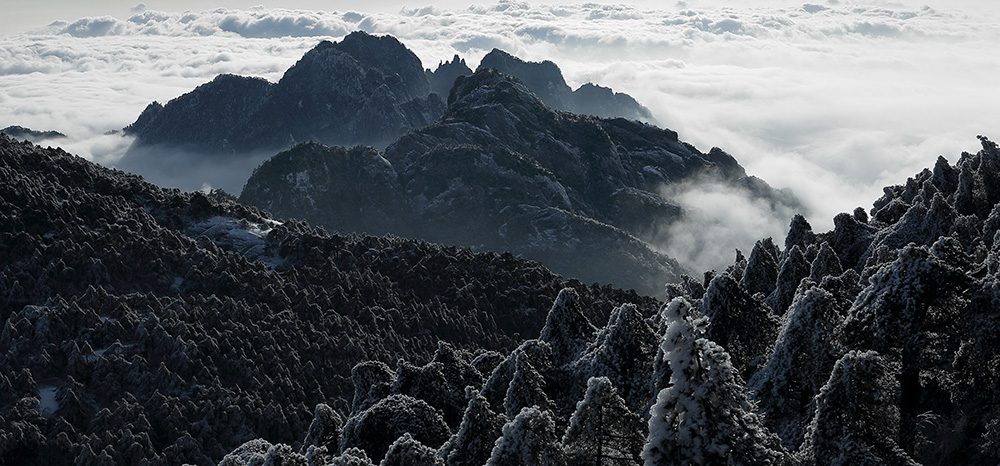 黄山 摄影 lqd