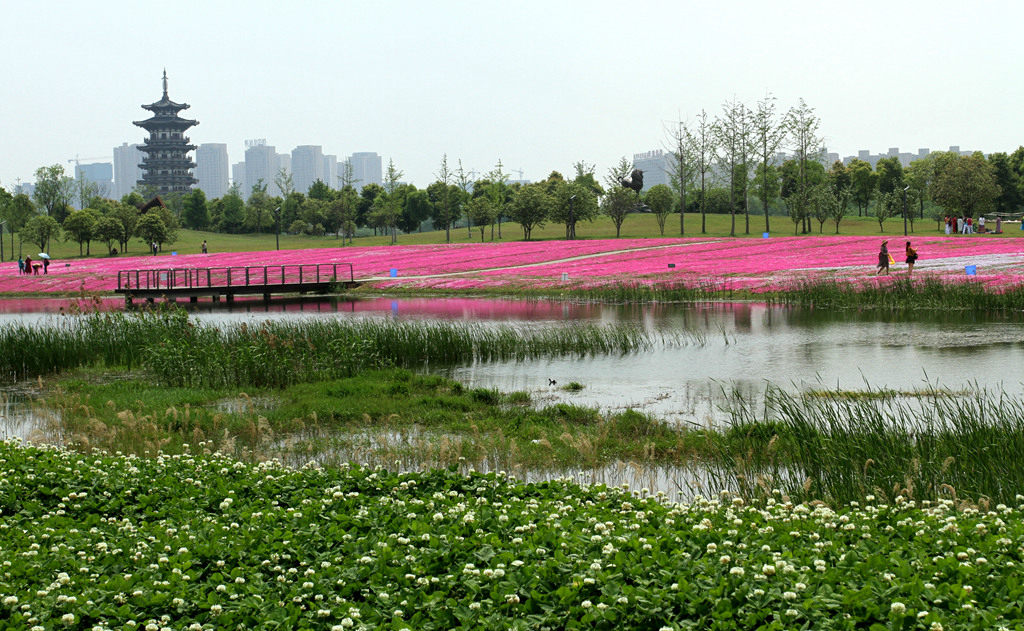 城市之肺——今日长沙湿地公园 摄影 寒心