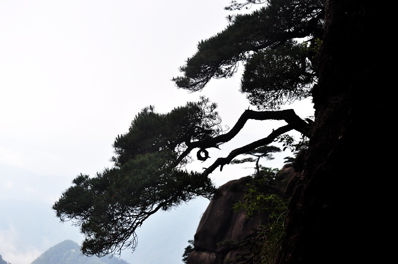 劲松 摄影 大山51