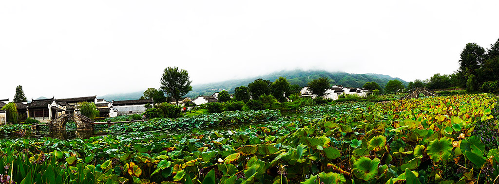 徽州八卦村美景 摄影 与众不同