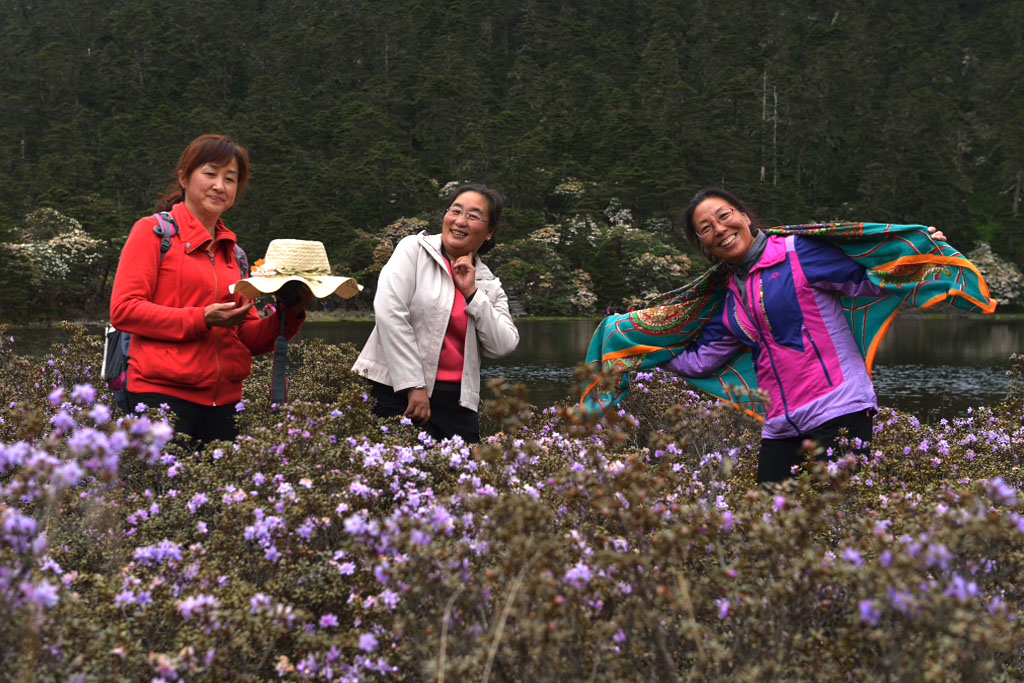 畅游丽江老君山 摄影 丽强