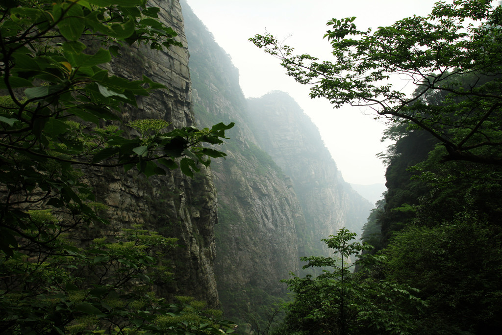 江西是个好地方 23 庐山 摄影 寒心