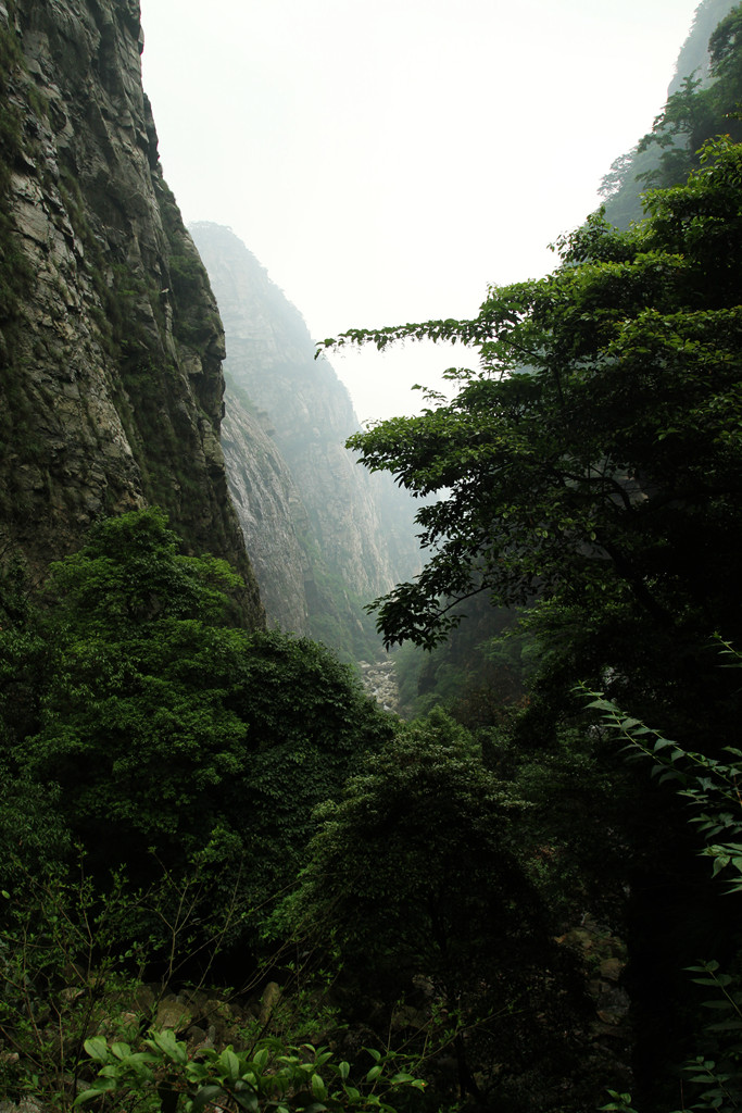 江西是个好地方 26庐山 摄影 寒心