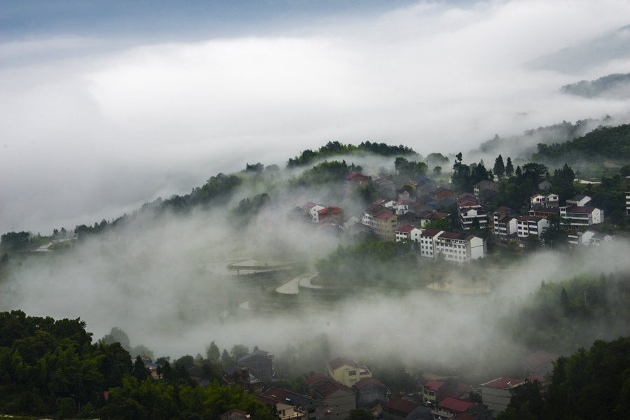 雨雾茗岙 摄影 茗岙忠