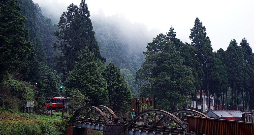 臺灣阿里山 摄影 与众不同