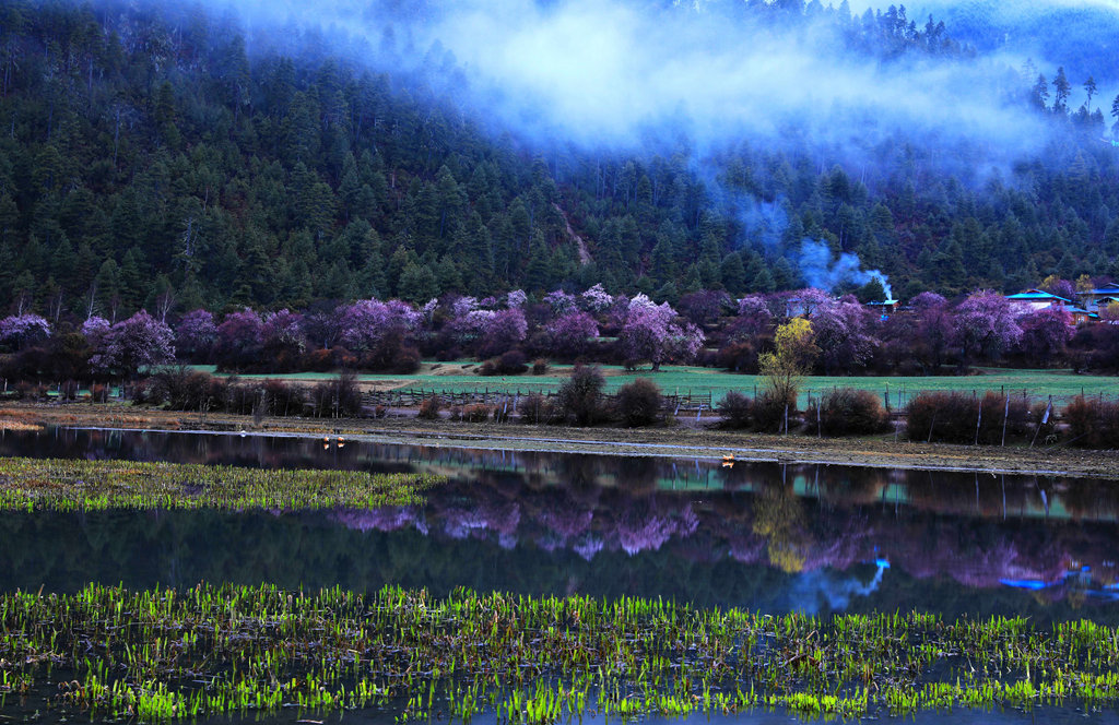 炊烟升起桃花源 摄影 QY_CANON