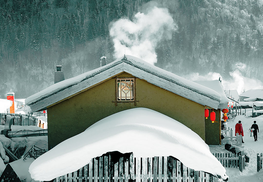 雪地里的早晨 摄影 相马人