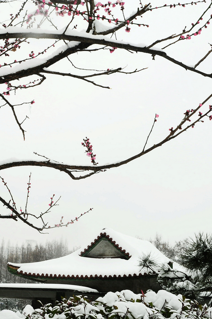 ☆☆ 摄影 山魂海魄