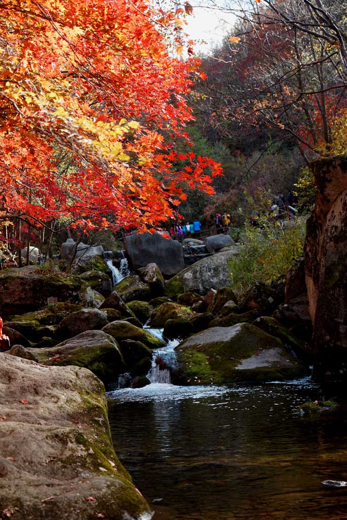 東北大石湖紅葉林 摄影 与众不同