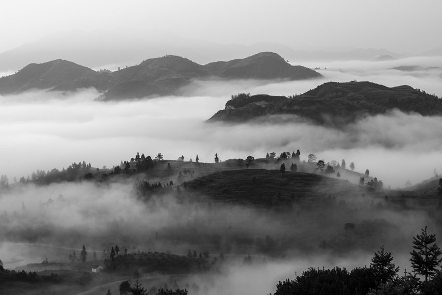 雾锁茗山 摄影 茗岙忠