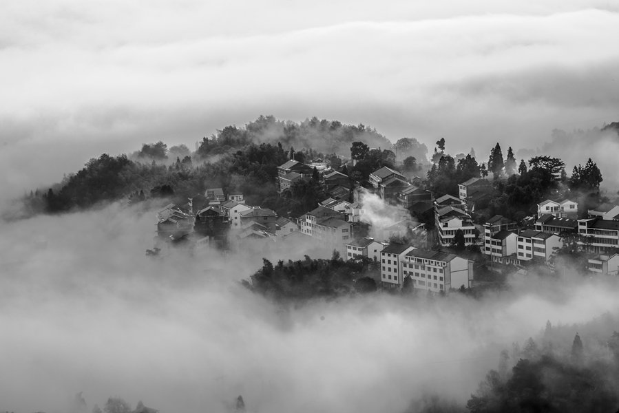 雾绕乡村 摄影 茗岙忠