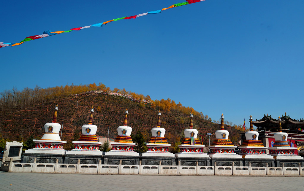 青海西寧塔兒寺 摄影 与众不同