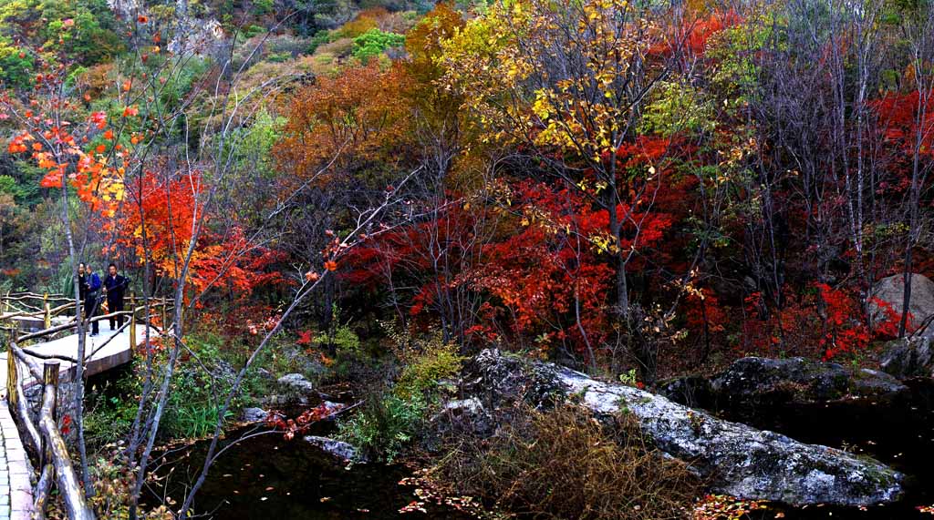 東北老邊溝紅葉林 摄影 与众不同