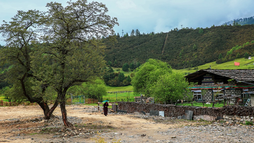 鲁郎小景 摄影 上虞鲁班