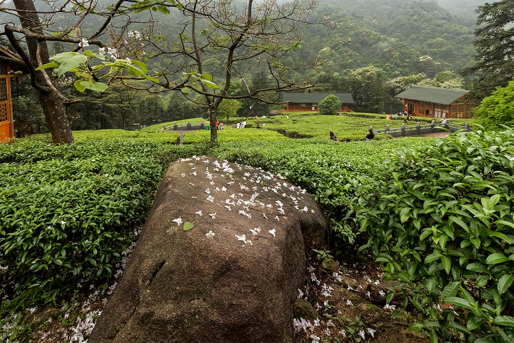 姑婆山 20 摄影 西河清风