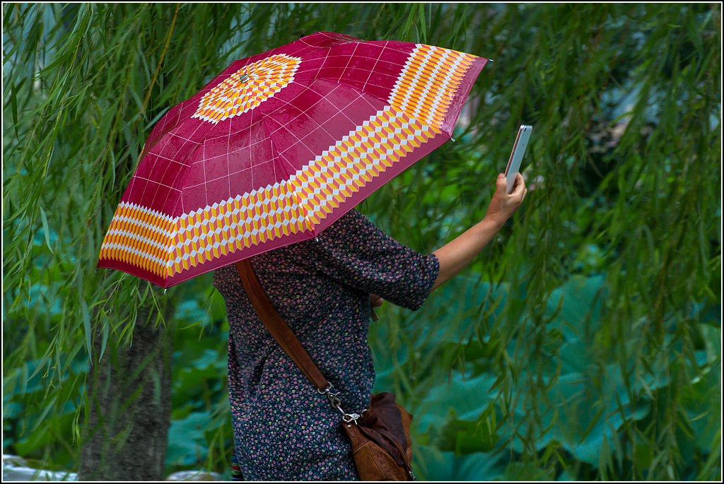 在雨中 3 摄影 cza