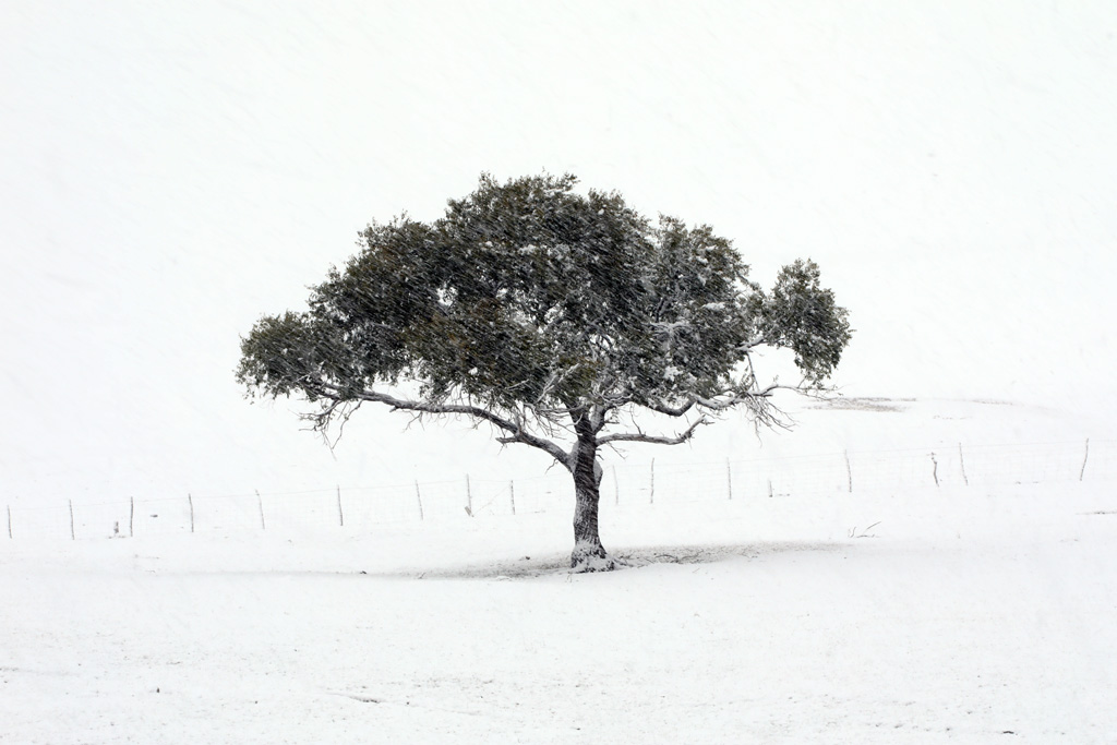 坝上初雪 摄影 我的文文