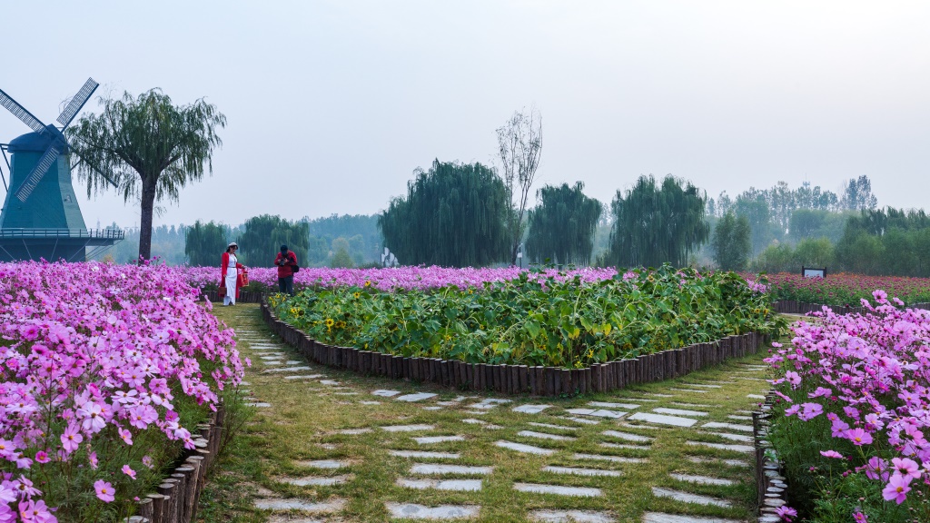 花海烂漫 摄影 平安阁