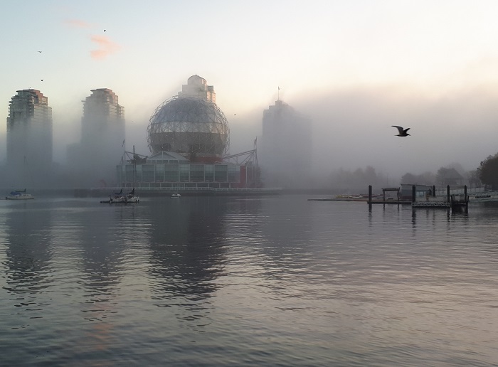 False Creek 晨跑#4 摄影 徒手流浪