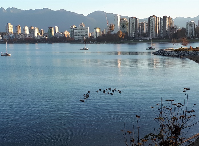 False Creek 晨跑#7 摄影 徒手流浪