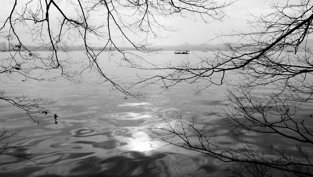 湖光潋滟 摄影 孤山梅云
