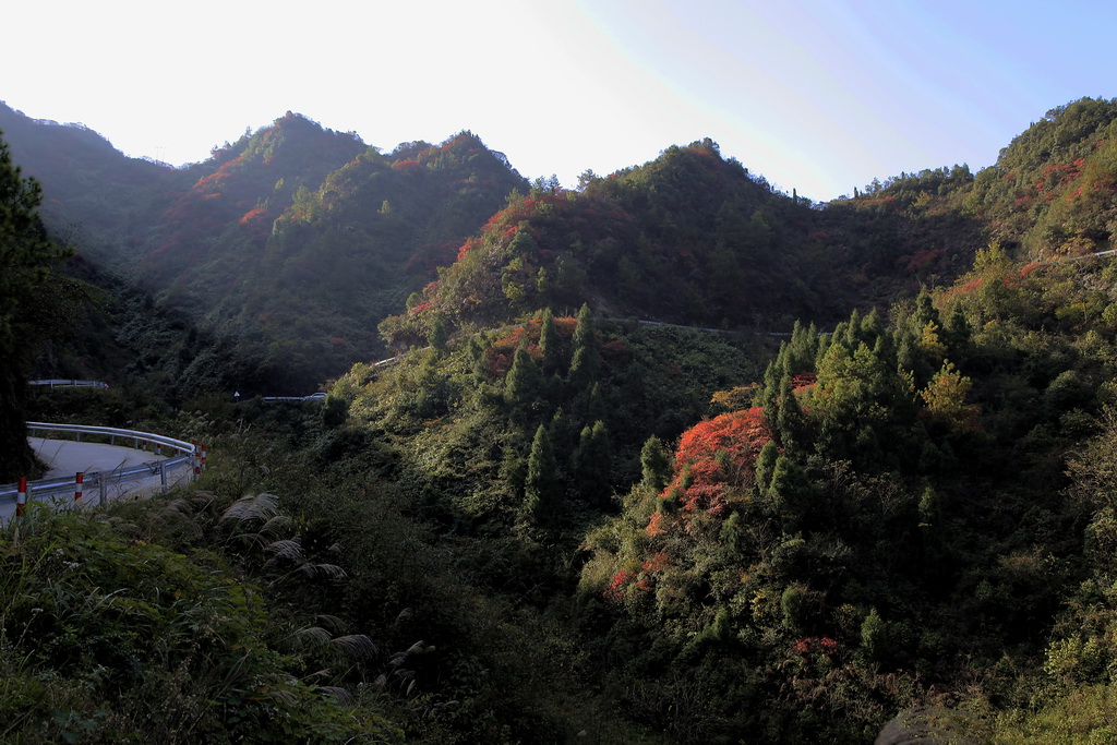 山羊村红叶    1 摄影 冰之炫