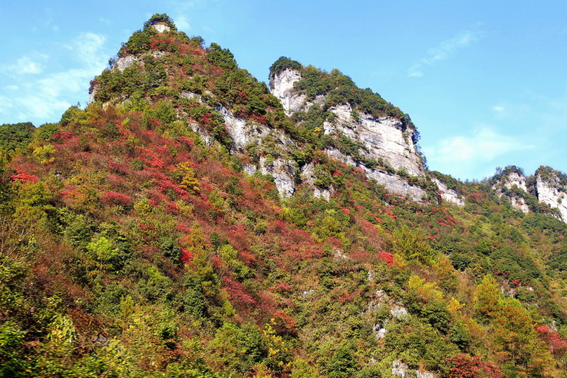 山羊村红叶    2 摄影 冰之炫