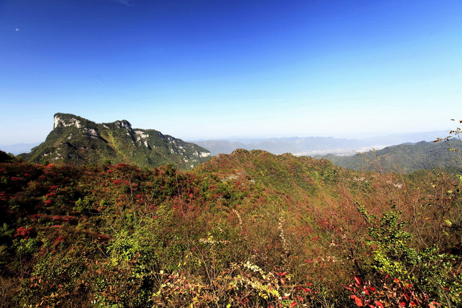 山羊村红叶   6 摄影 冰之炫