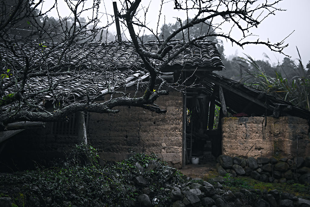 细雨连绵 摄影 拾穗者