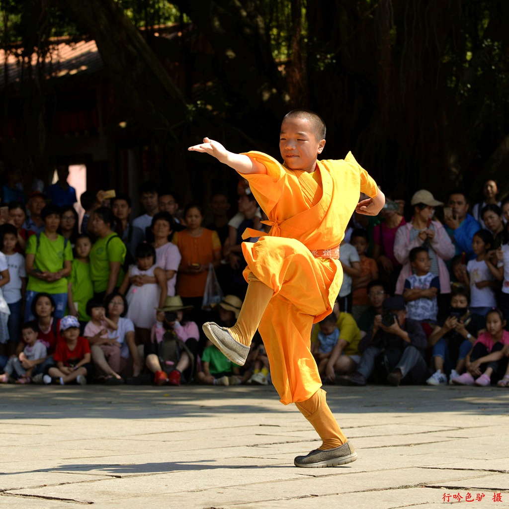 少林小子7 摄影 蓝色驴