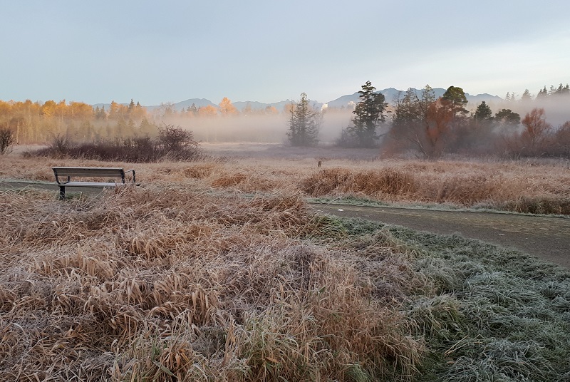 Deer Lake 晨跑 #14 摄影 徒手流浪