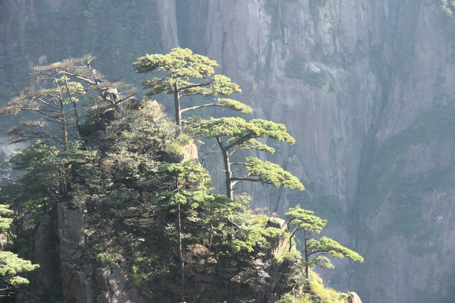 黄山一景 摄影 西北汉子