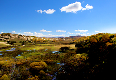 草原湿地 摄影 风之上