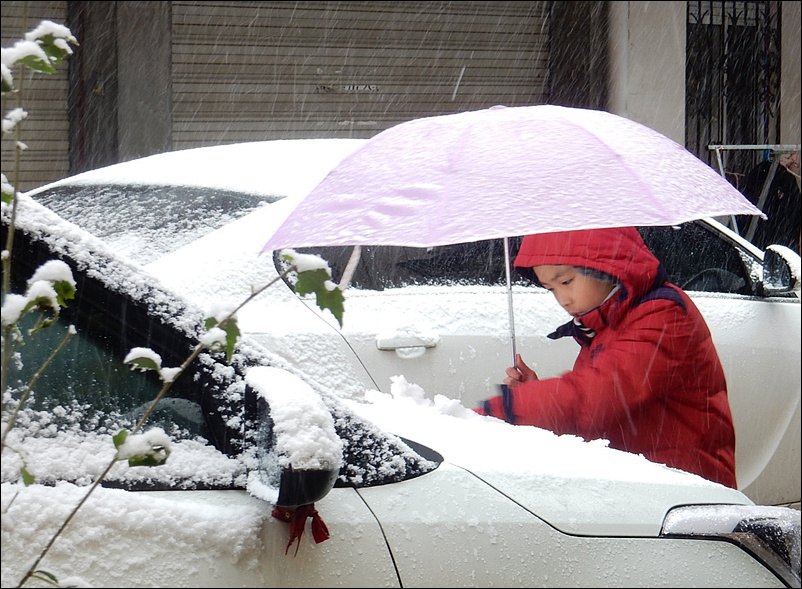 2018首场小雪 摄影 公正