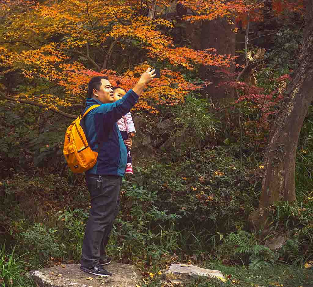 醉栖霞 摄影 lingsu