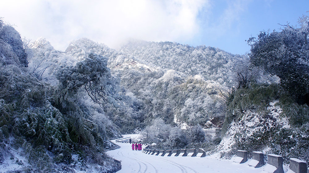 初雪 摄影 留恋