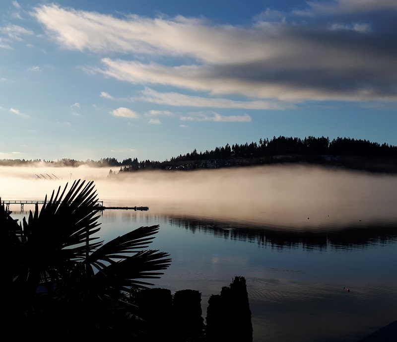 Port Moody 晨跑 #6 摄影 徒手流浪