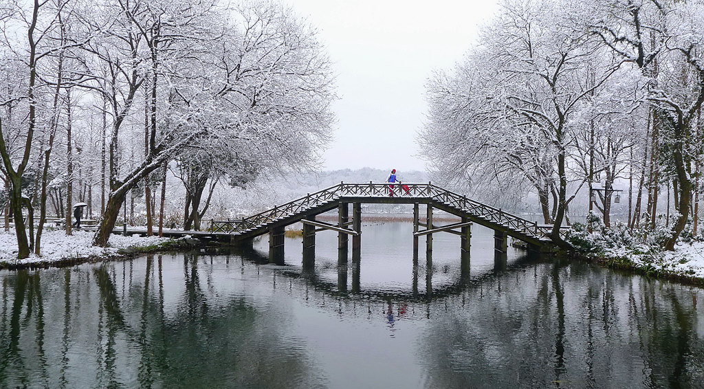 赏雪 摄影 孤山梅云