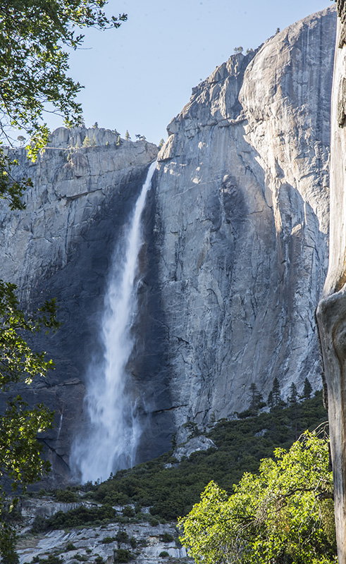 Yosemite 联邦国家公园 摄影 wjp29