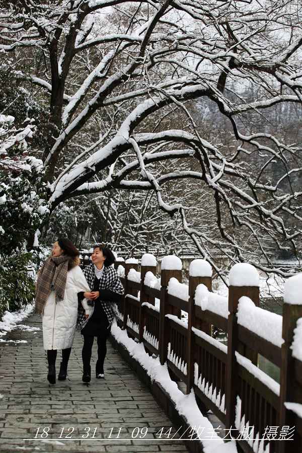 赏雪景 摄影 云游笑僧