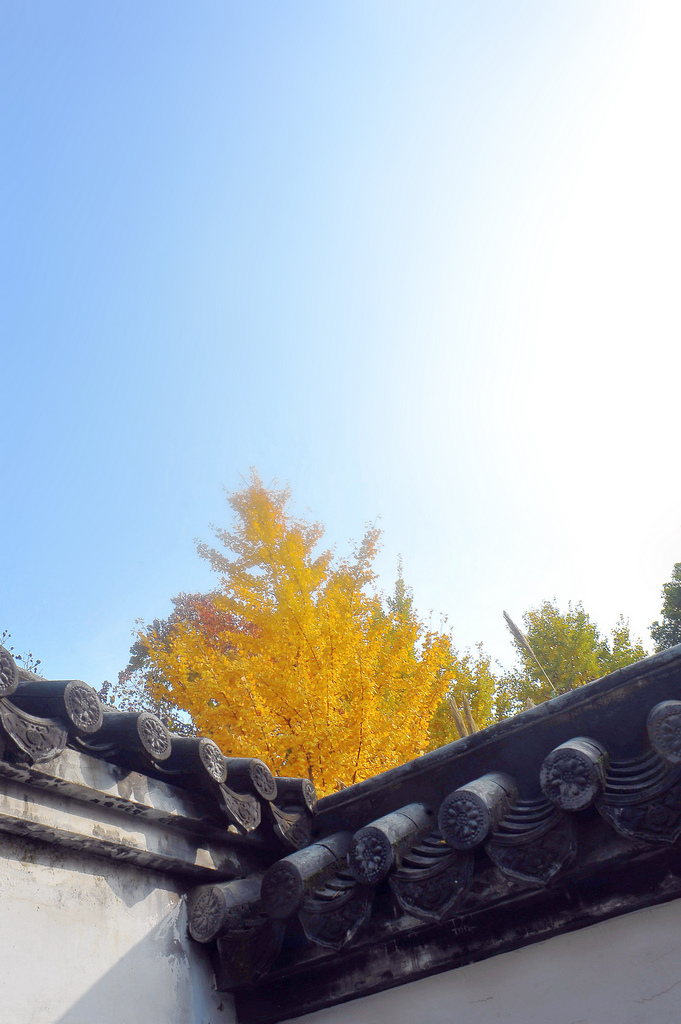 ☆☆ 摄影 那人那山