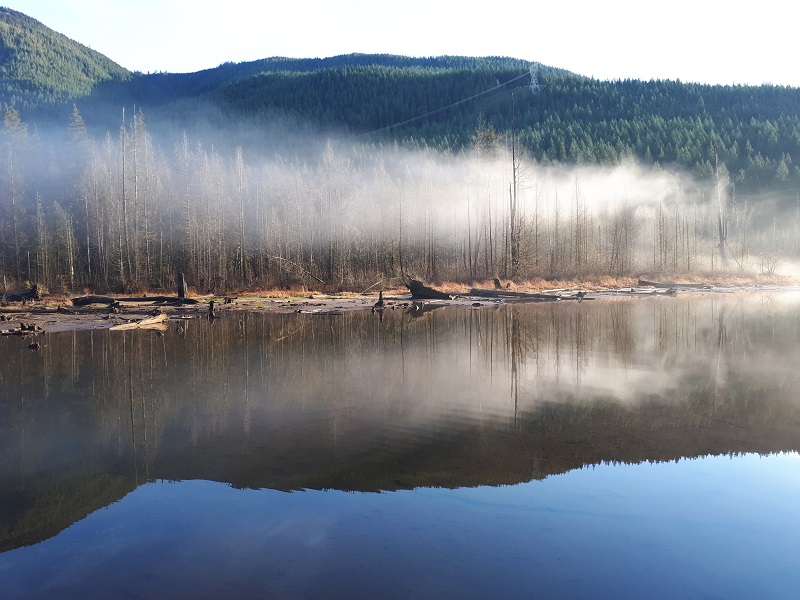 Buntzen Lake 晨跑 #1 摄影 徒手流浪