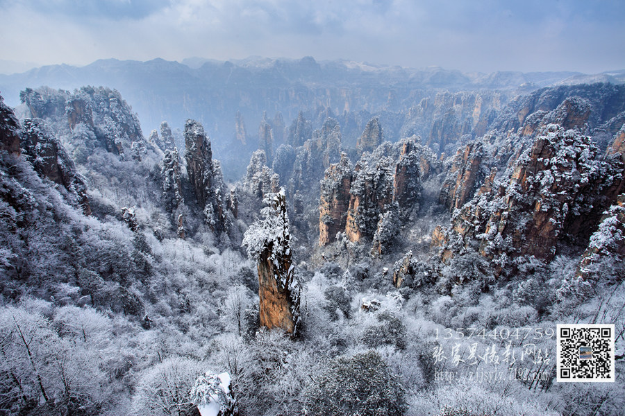 天子山雪景 摄影 武陵之友