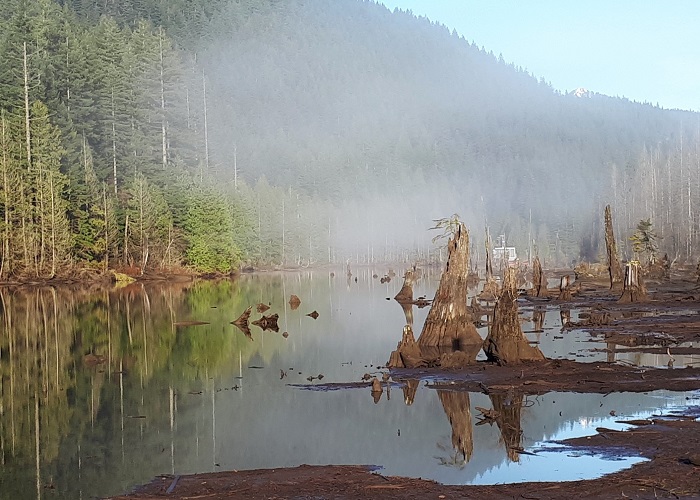 Buntzen Lake 晨跑 #2 摄影 徒手流浪