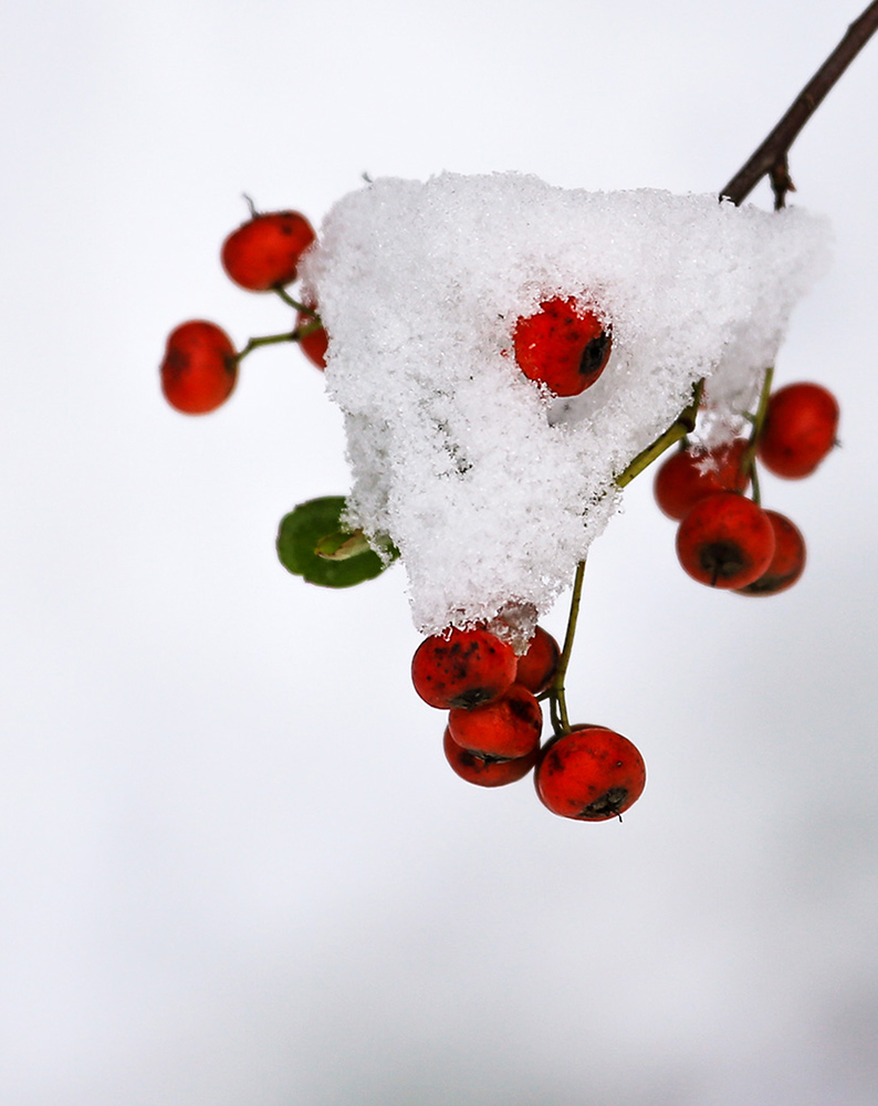 雪趣-方圆之间 摄影 色影难求