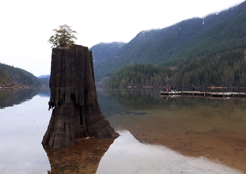 Buntzen Lake 晨跑 #5 摄影 徒手流浪