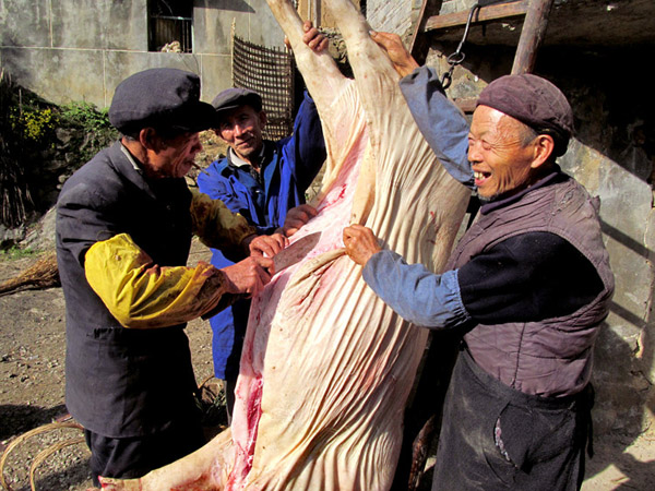 杀年猪了！ 摄影 胡琴