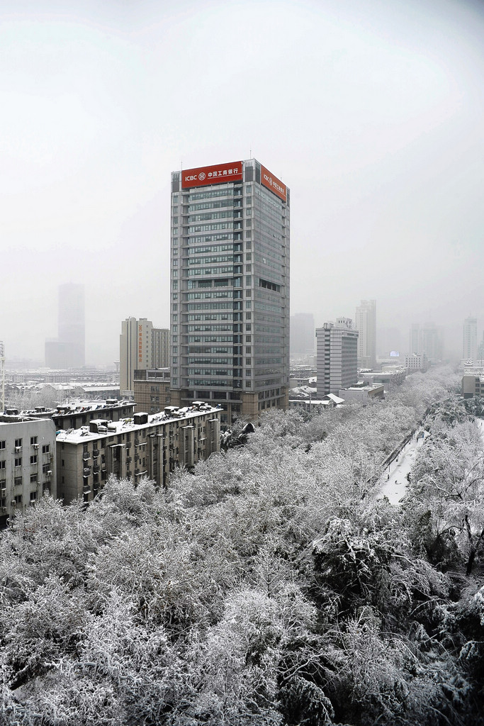 春雪 4 摄影 那人那山