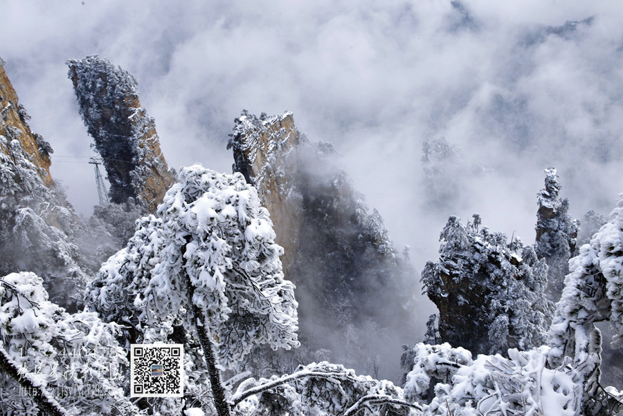 天子山雪景摄影 摄影 武陵之友