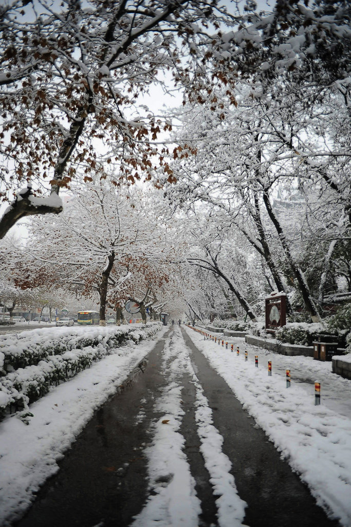 春雪 6 摄影 那人那山